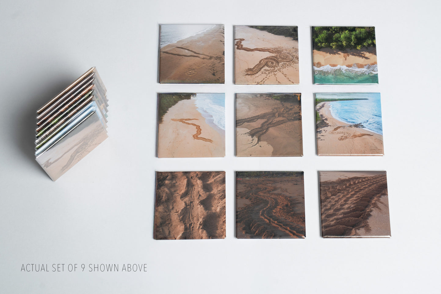 Leatherback Turtle Tracks Photo Magnet Set