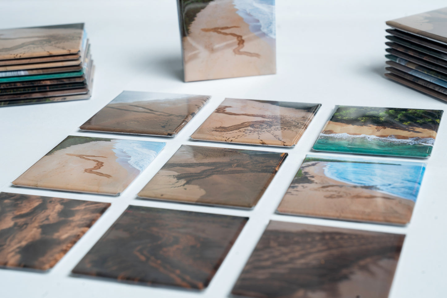 Leatherback Turtle Tracks Photo Magnet Set