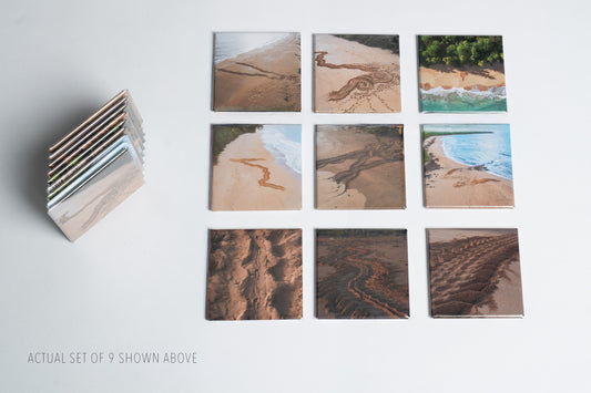 Leatherback Turtle Tracks Photo Magnet Set